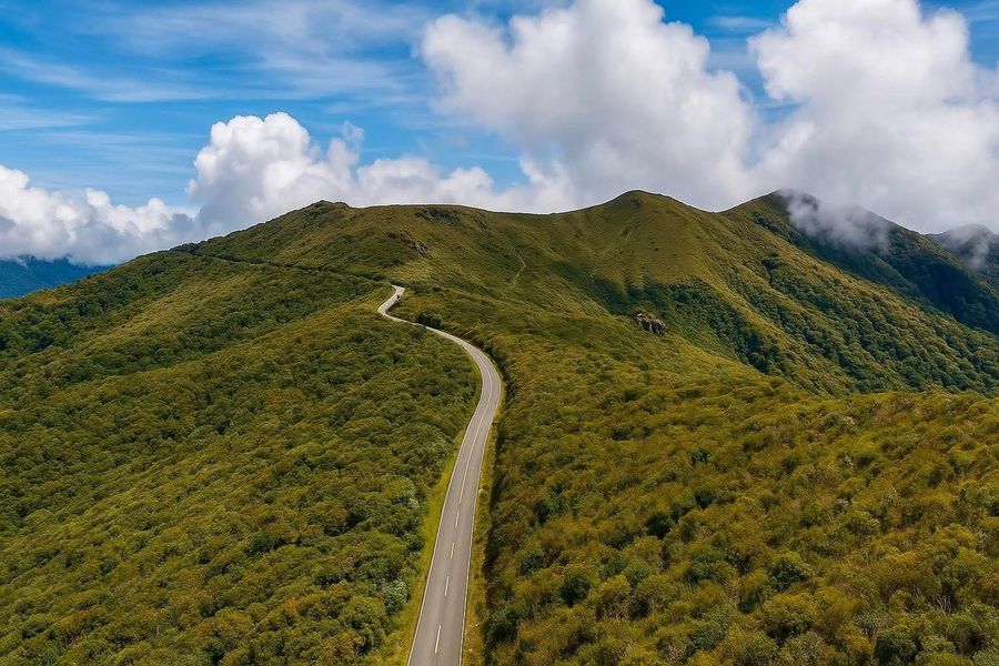 Estrada verde de montanha no Cerro de la Muerte