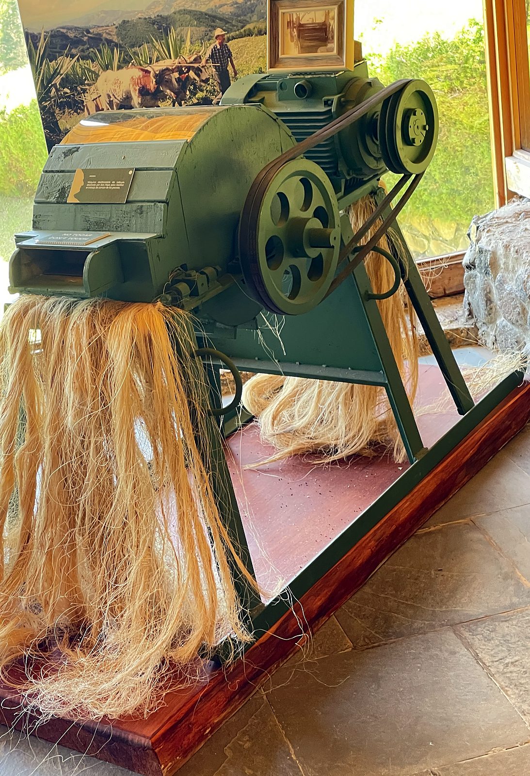 A máquina verde que Don Pepe inventou para processar fibra, na Finca La Lucha