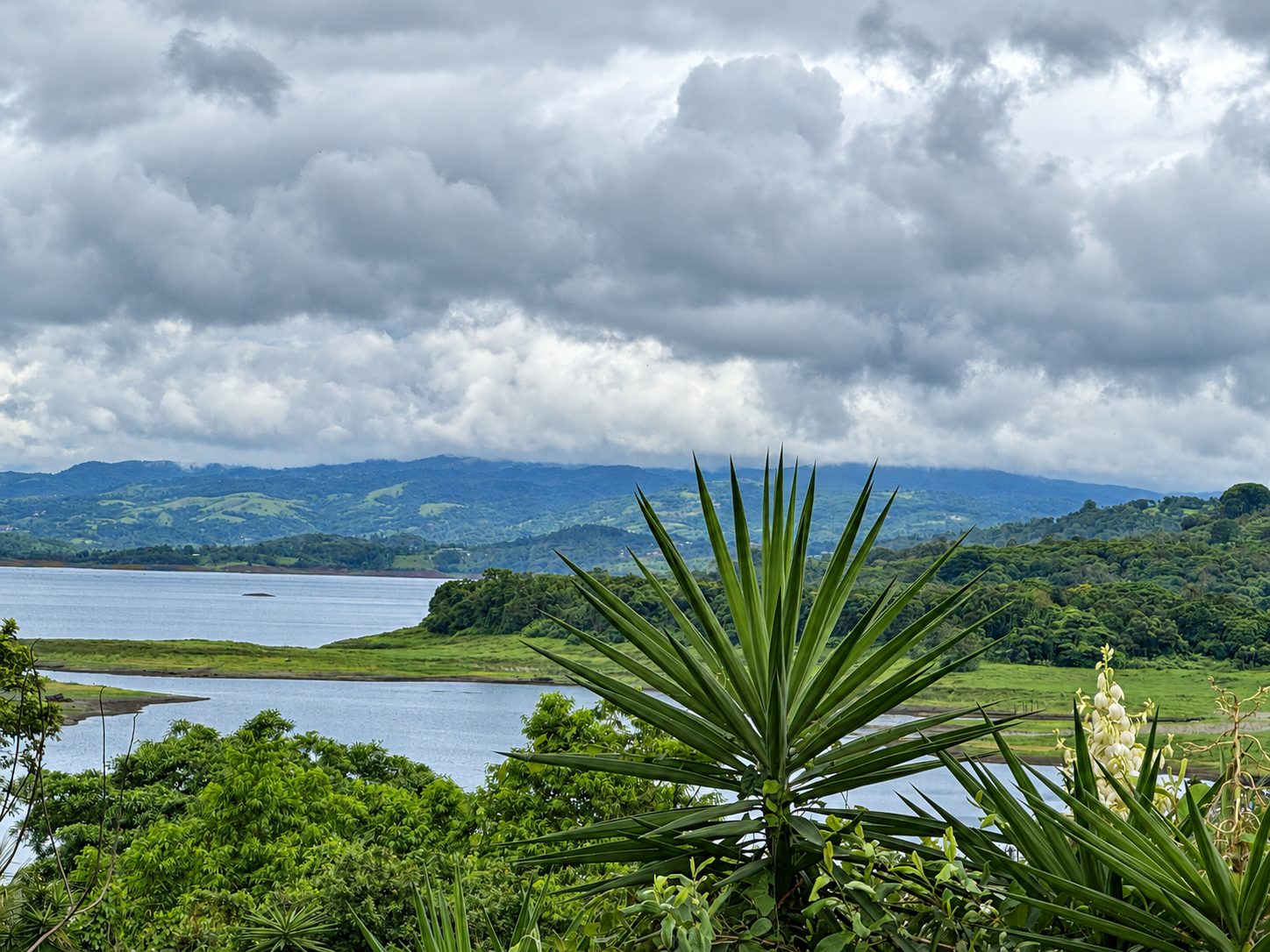 O Lago Arenal com colinas verdes e uma palmeira à frente
