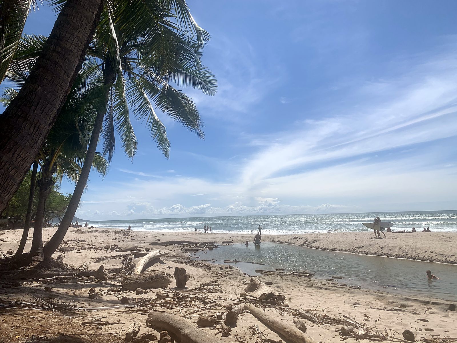 Palmeiras e uma praia calma na Península de Nicoya