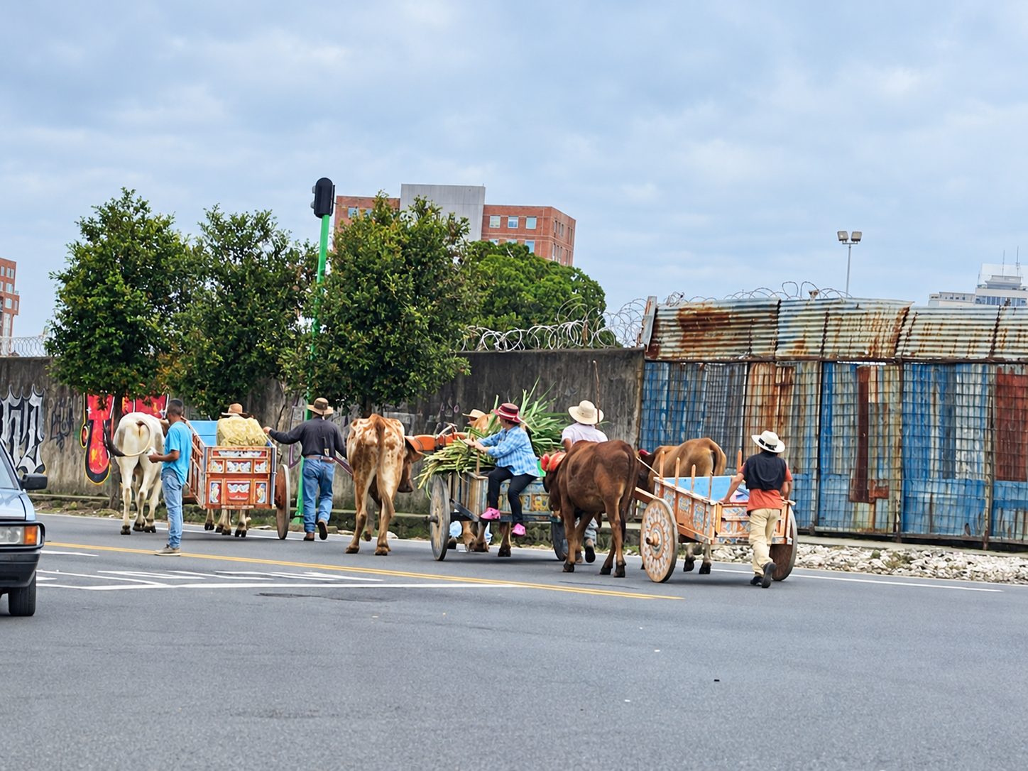 Carros de boi tradicionais numa rua de San José, Costa Rica
