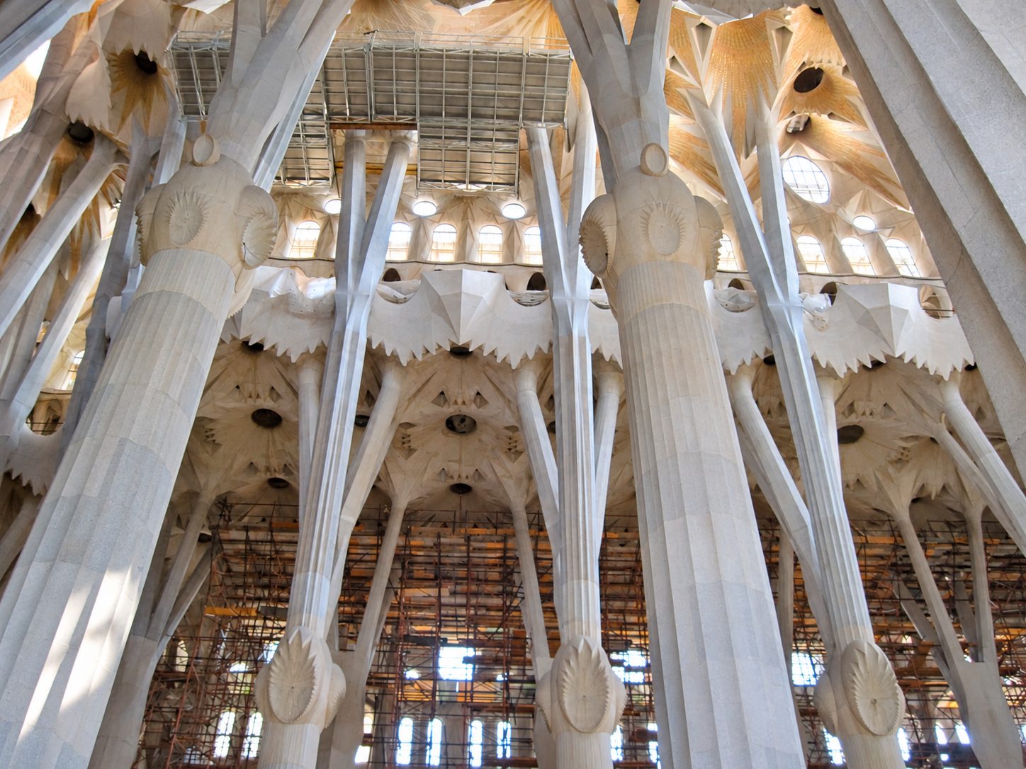 Le alte colonne a forma di albero all'interno della Sagrada Família