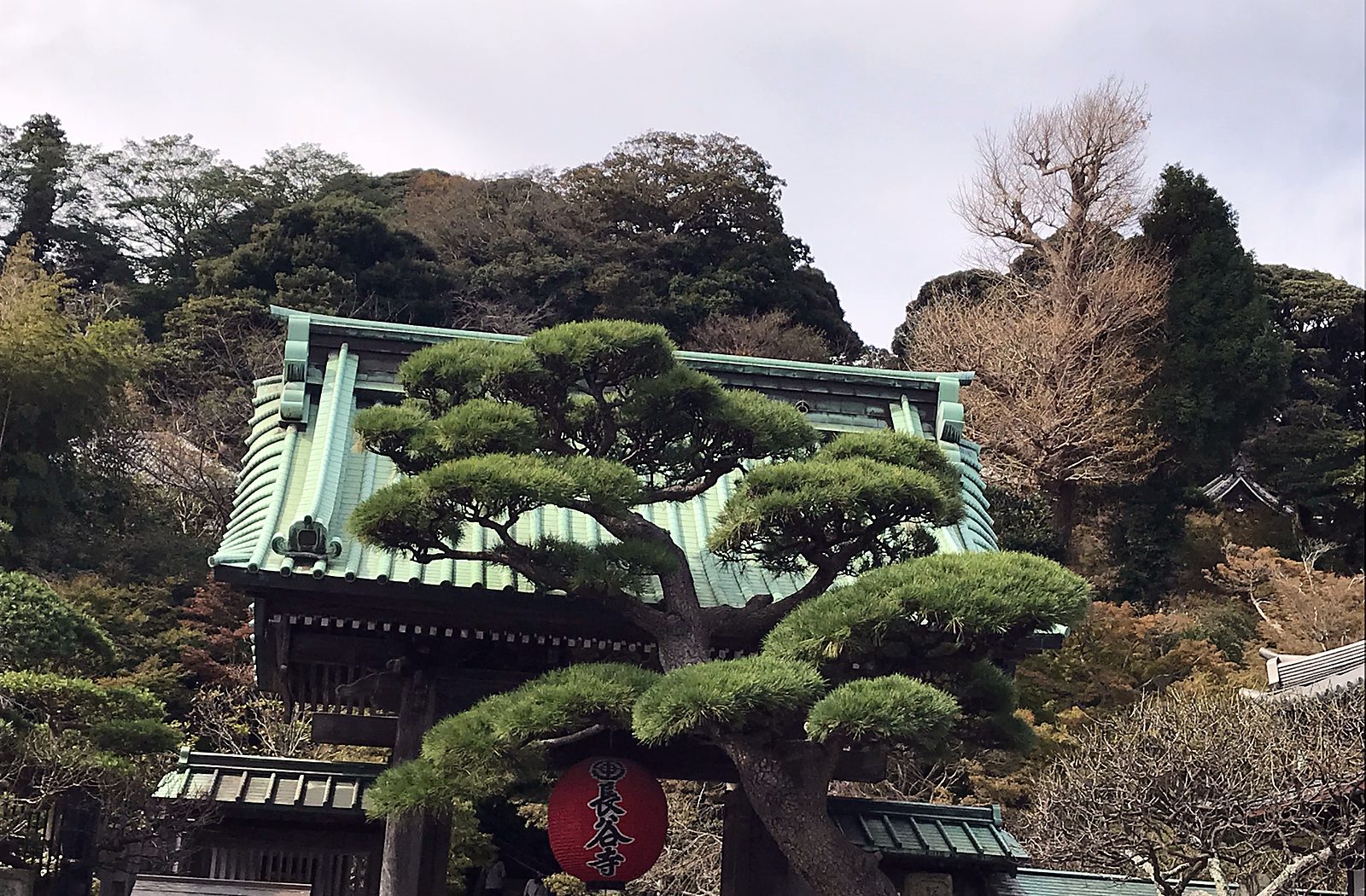 La porta del tempio Hase-dera con un pino e una lanterna rossa, a Kamakura