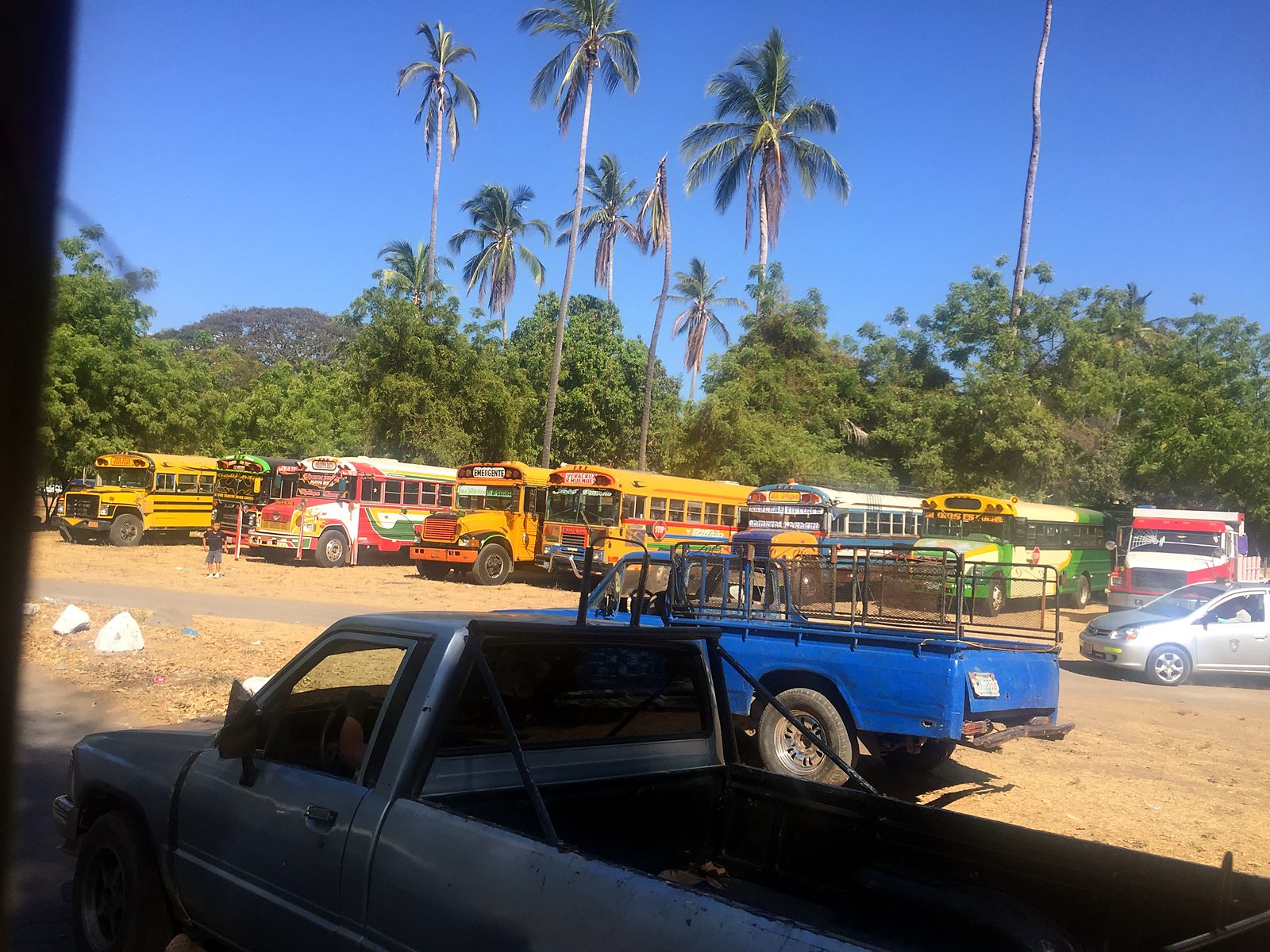 Autobus colorati parcheggiati sotto le palme in Nicaragua