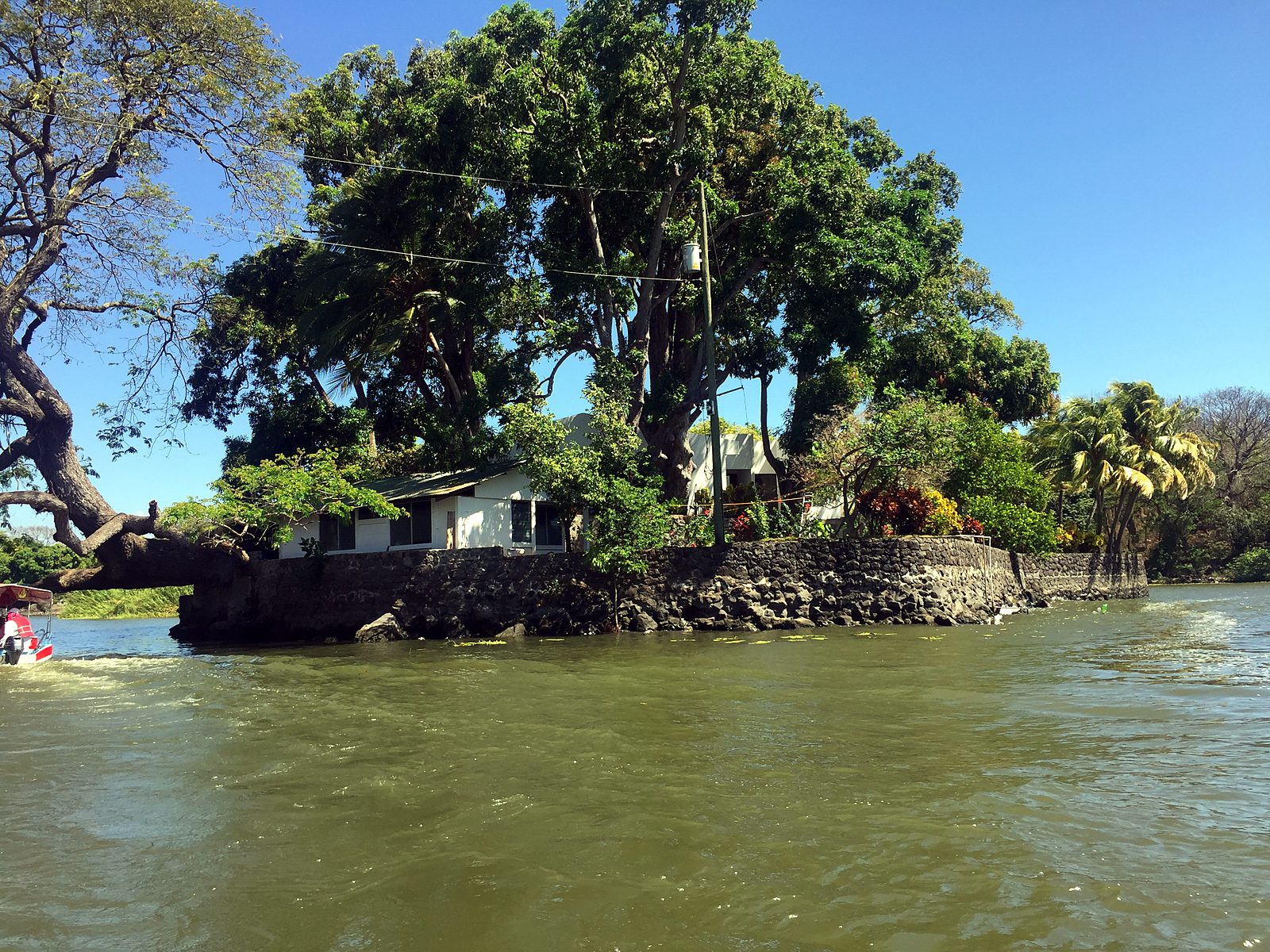 Un isolotto con grandi alberi sul Lago Nicaragua, vicino a Granada