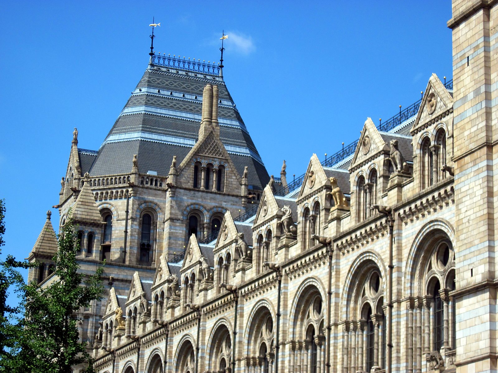 Il Museo di Storia Naturale a Londra
