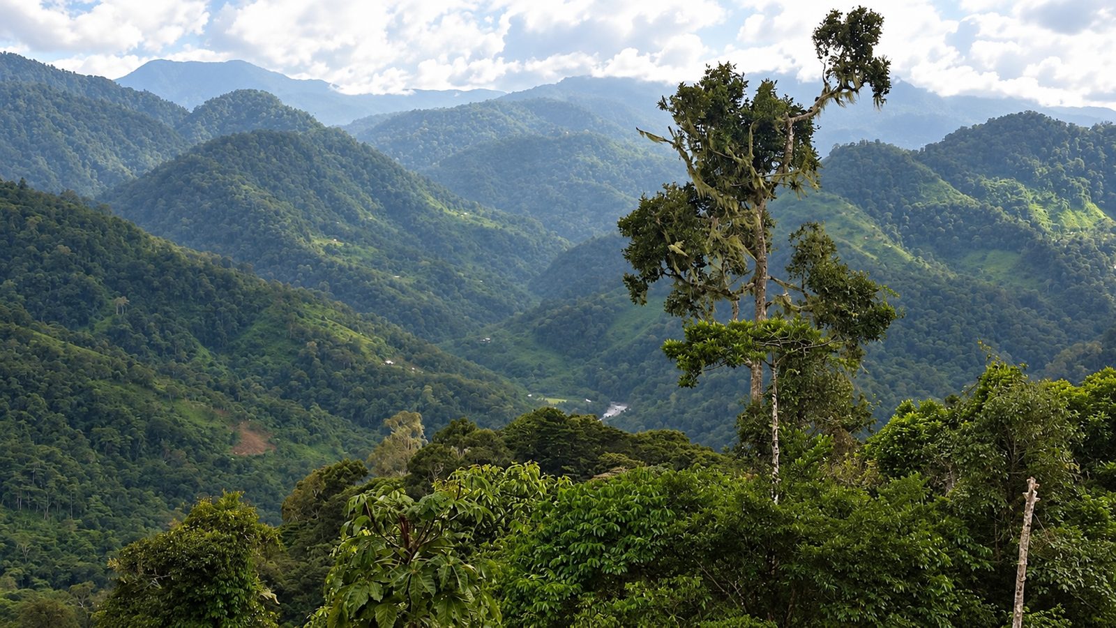 Montagne verdi sul terreno di Turrialba, in Costa Rica