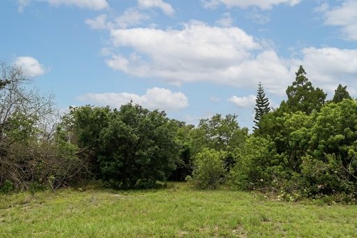 Il terreno visto dal bordo del lotto