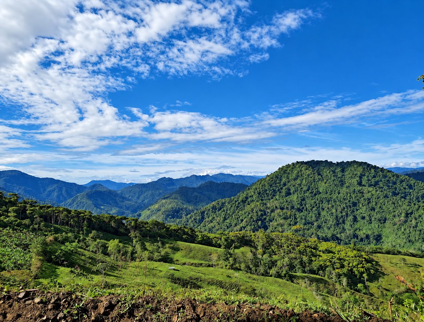 Montagne e valli verdi sul terreno di Turrialba sotto un cielo azzurro